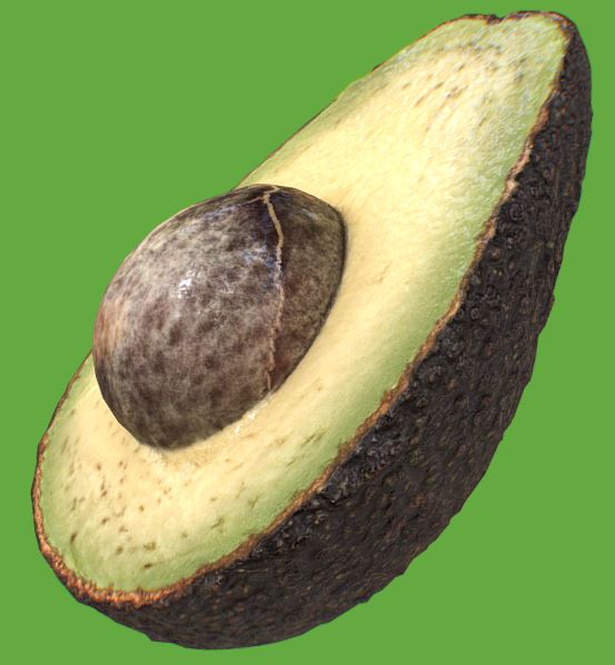 File:Avocado by Z3D.jpg